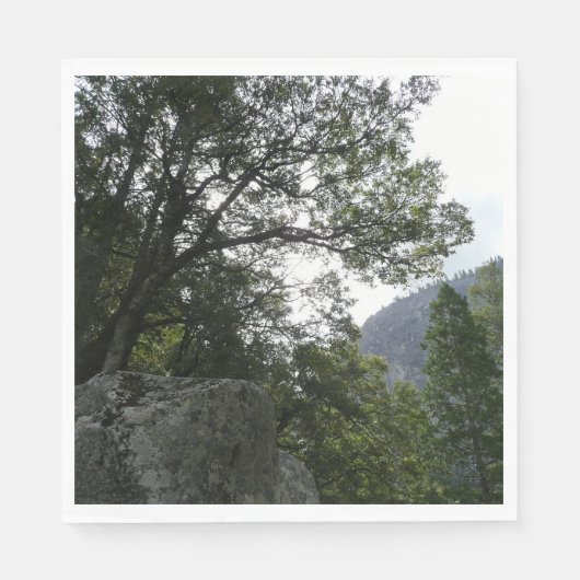 ヨセミテのヴェルナル滝への道の朝 スタンダードランチョンナプキン (正面)