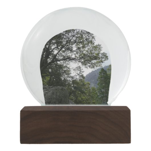 ヨセミテのヴェルナル滝への道の朝 スノーグローブ (正面)