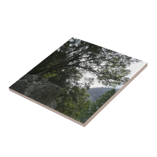 ヨセミテのヴェルナル滝への道の朝 タイル (側面)