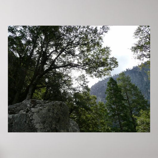 ヨセミテのヴェルナル滝への道の朝 ポスター (正面)