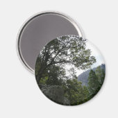 ヨセミテのヴェルナル滝への道の朝 マグネット (正面/裏面)