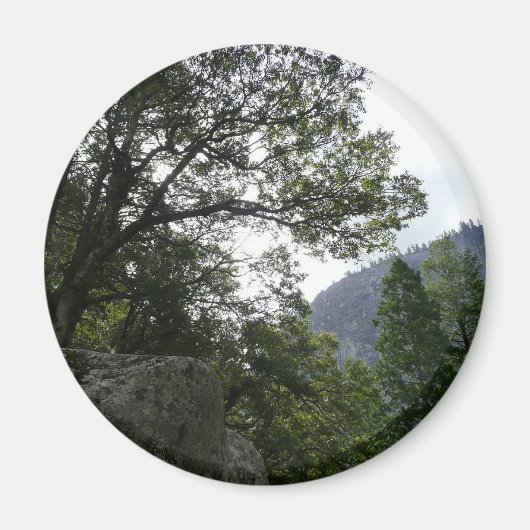 ヨセミテのヴェルナル滝への道の朝 マグネット (正面)