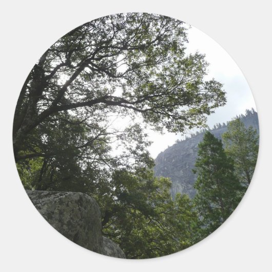 ヨセミテのヴェルナル滝への道の朝 ラウンドシール (正面)