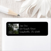 ヨセミテのヴェルナル滝への道の朝 ラベル (インサイチュ)