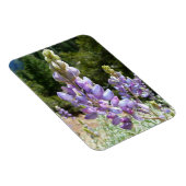 ヨセミテの山岳ルピナス マグネット (右側)