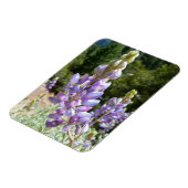 ヨセミテの山岳ルピナス マグネット (左側)