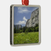 ヨセミテの景色の谷、カリフォルニア メタルオーナメント (右)