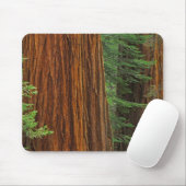 ヨセミテの森のジャイアントセコイアの幹 マウスパッド (マウス)