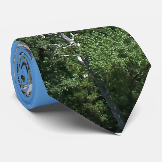 ヨセミテの滝 ネクタイ (ロール)