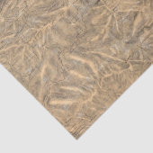 ヨセミテの谷に隣接するシエラネバダ山脈 薄葉紙 (詳細)
