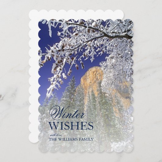 ヨセミテの雪に黒いオークの木 (正面/裏面)