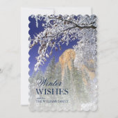 ヨセミテの雪に黒いオークの木 (正面)