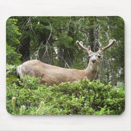 ヨセミテの鹿の自然写真 マウスパッド (正面)