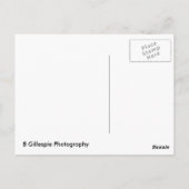 ヨセミテカスケード秋 ポストカード (裏面)