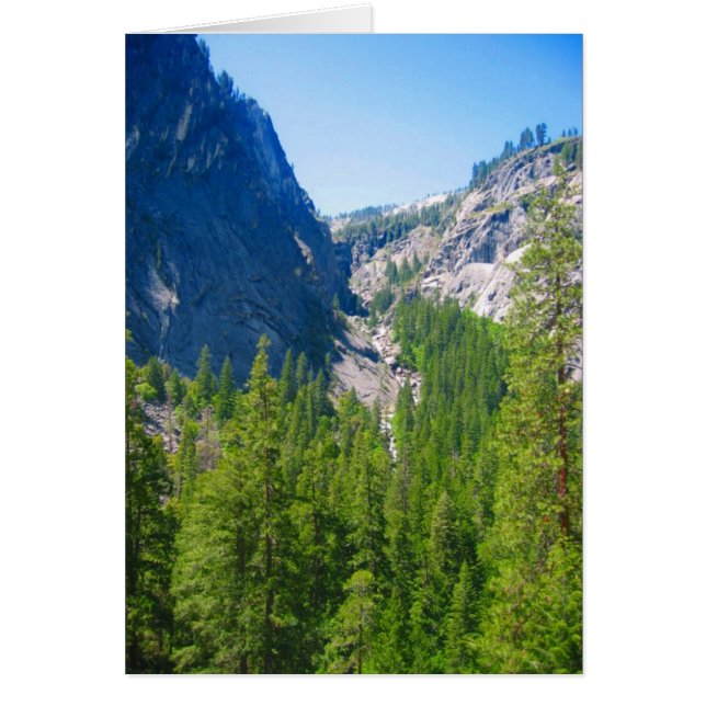 ヨセミテグリーン (正面)