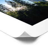 ヨセミテサンライト樹木色写真ポスター ポスター (角)