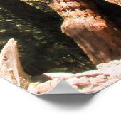 ヨセミテセコイア色の写真ポスタープリント ポスター (角)