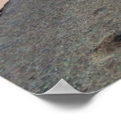 ヨセミテナヤ湖 ポスター (角)