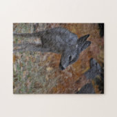 ヨセミテバレーファウン ジグソーパズル (横)