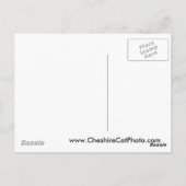 ヨセミテバレー4月カリフォルニア製品 ポストカード (裏面)