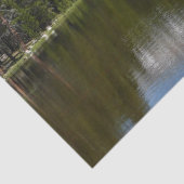 ヨセミテレイク反射 薄葉紙 (詳細)