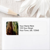 ヨセミテレッドウッズ ラベル (インサイチュ)