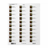 ヨセミテレッドウッズ ラベル (フルシート)