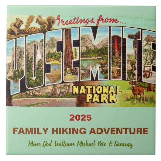 ヨセミテ公園 メモリータイル タイル (正面)