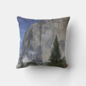 ヨセミテ反射 クッション (裏面)