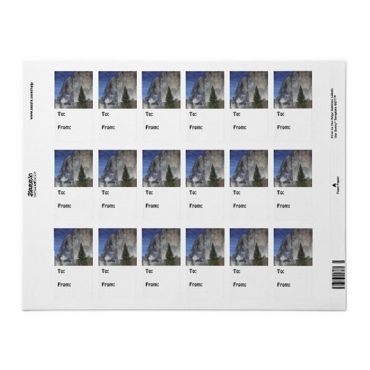 ヨセミテ反射 ラベル (フルシート)