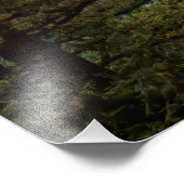 ヨセミテ国立公園でのサンライズ写真 フォトプリント            (角)