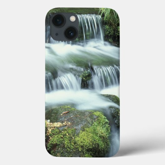 ヨセミテ国立公園のシダの泉 Case-Mate iPhoneケース (裏面)