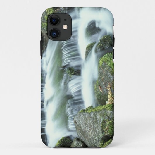 ヨセミテ国立公園のシダの泉 Case-Mate iPhoneケース (裏面)