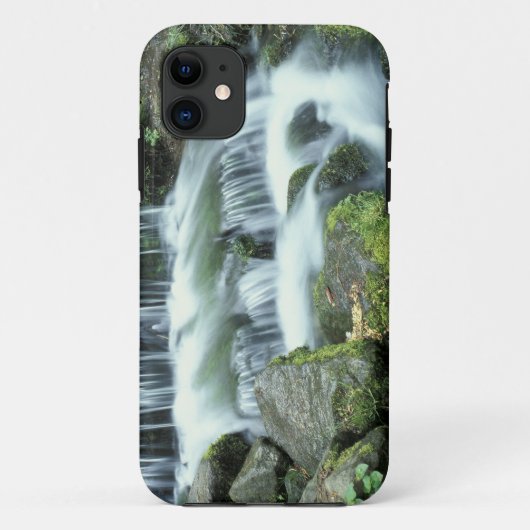 ヨセミテ国立公園のシダの泉 Case-Mate iPhoneケース (裏面)