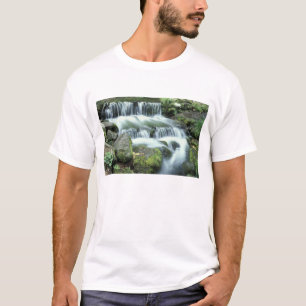 ヨセミテ国立公園のシダの泉 Tシャツ