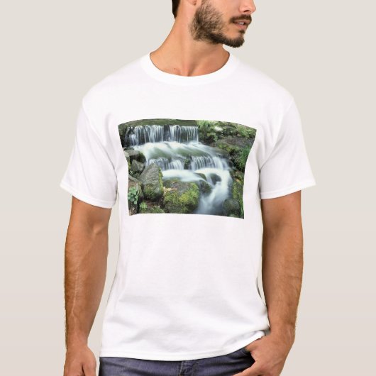 ヨセミテ国立公園のシダの泉 Tシャツ (正面)