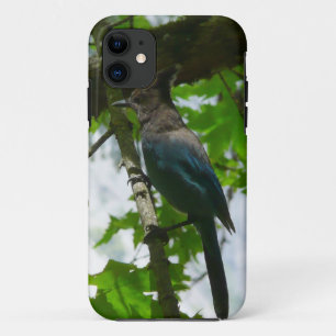ヨセミテ国立公園のステラーズカゲロウ iPhone 11 ケース