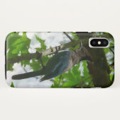 ヨセミテ国立公園のステラーズカゲロウ Case-Mate iPhoneケース (裏面(横))