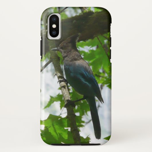 ヨセミテ国立公園のステラーズカゲロウ Case-Mate iPhoneケース (裏面)