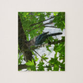 ヨセミテ国立公園のステラーズジェイ ジグソーパズル (縦)