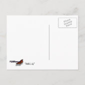 ヨセミテ国立公園のステラーズジェイ ポストカード (裏面)