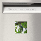 ヨセミテ国立公園のステラーズジェイ マグネット (インサイチュ (食洗機))