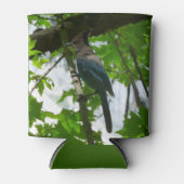 ヨセミテ国立公園のステラーズジェイ 缶クーラー (正面)