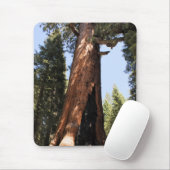 ヨセミテ国立公園のセコイア写真のmousepad マウスパッド (マウス)