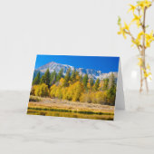 ヨセミテ国立公園のタイオガ峠 カード (黄色い花)