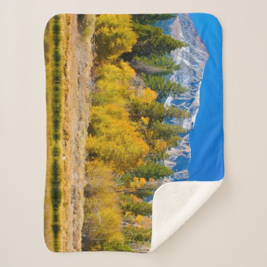 ヨセミテ国立公園のタイオガ峠 シェルパブランケット (正面)