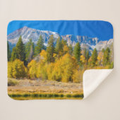 ヨセミテ国立公園のタイオガ峠 シェルパブランケット (正面(横))