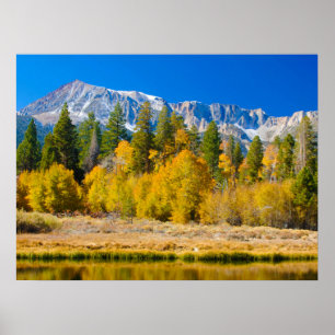 ヨセミテ国立公園のタイオガ峠 ポスター