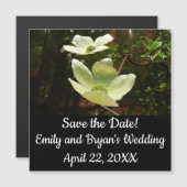 ヨセミテ国立公園のドッグウッズとレッドウッズ (正面/裏面)