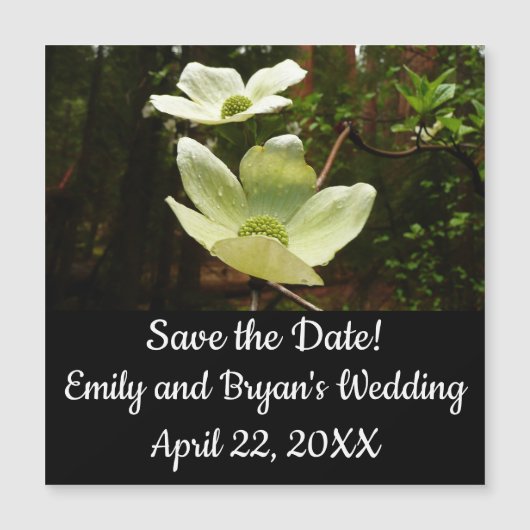 ヨセミテ国立公園のドッグウッズとレッドウッズ (正面)